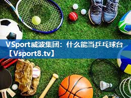 VSport威波集团：什么能当乒乓球台