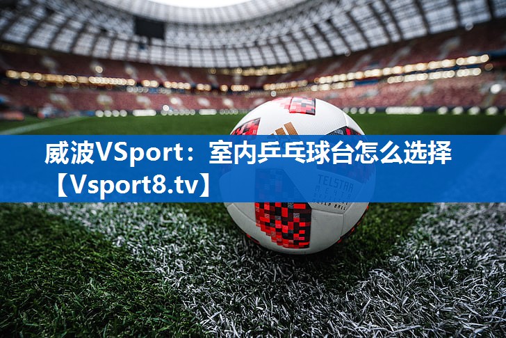 威波VSport：室内乒乓球台怎么选择