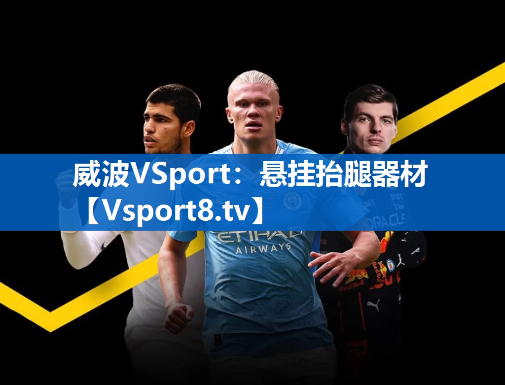 威波VSport：悬挂抬腿器材