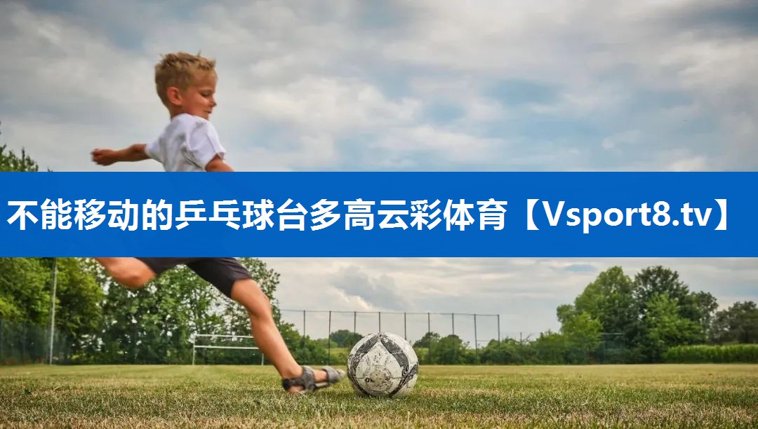 <strong>不能移动的乒乓球台多高云彩体育</strong>