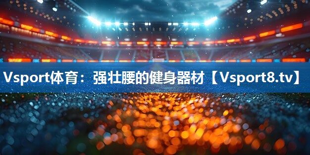 Vsport体育：强壮腰的健身器材