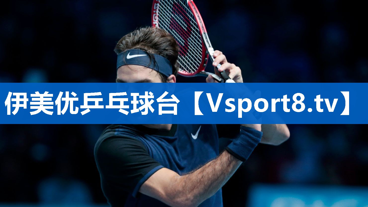 <strong>伊美优乒乓球台</strong>